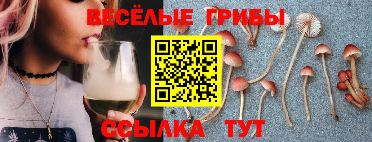 Ликино-Дулёво  Галлюциногенные грибы Cubensis  Вход с VPN 