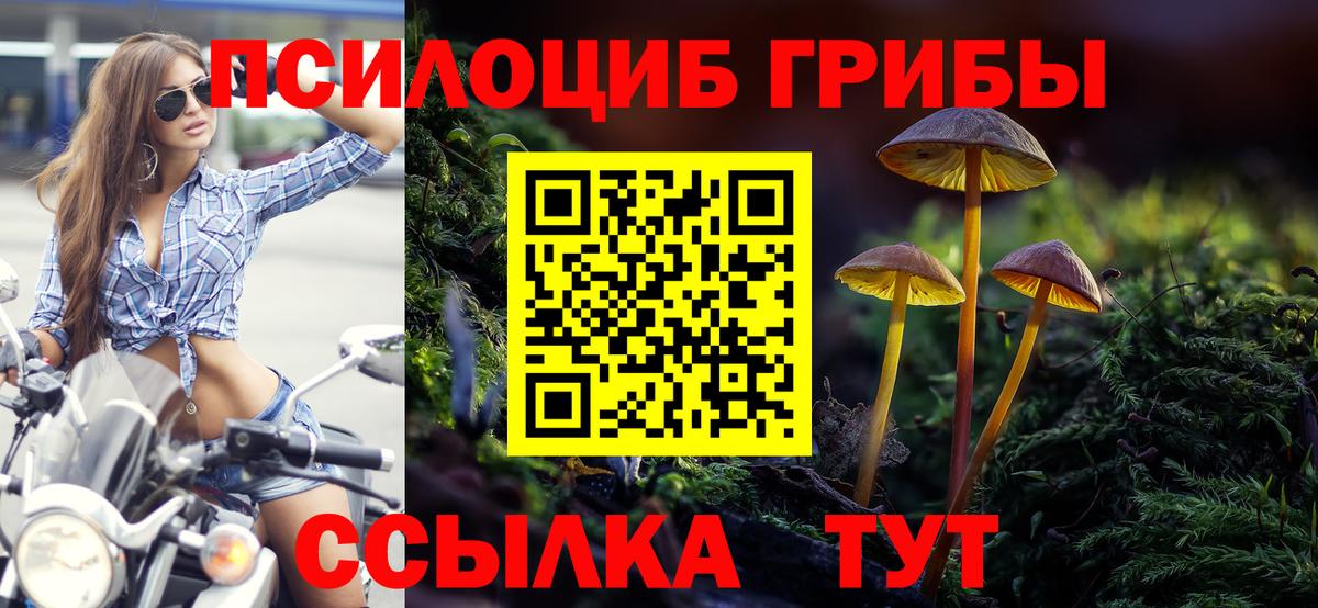 Галлюциногенные грибы мицелий Ликино-Дулёво